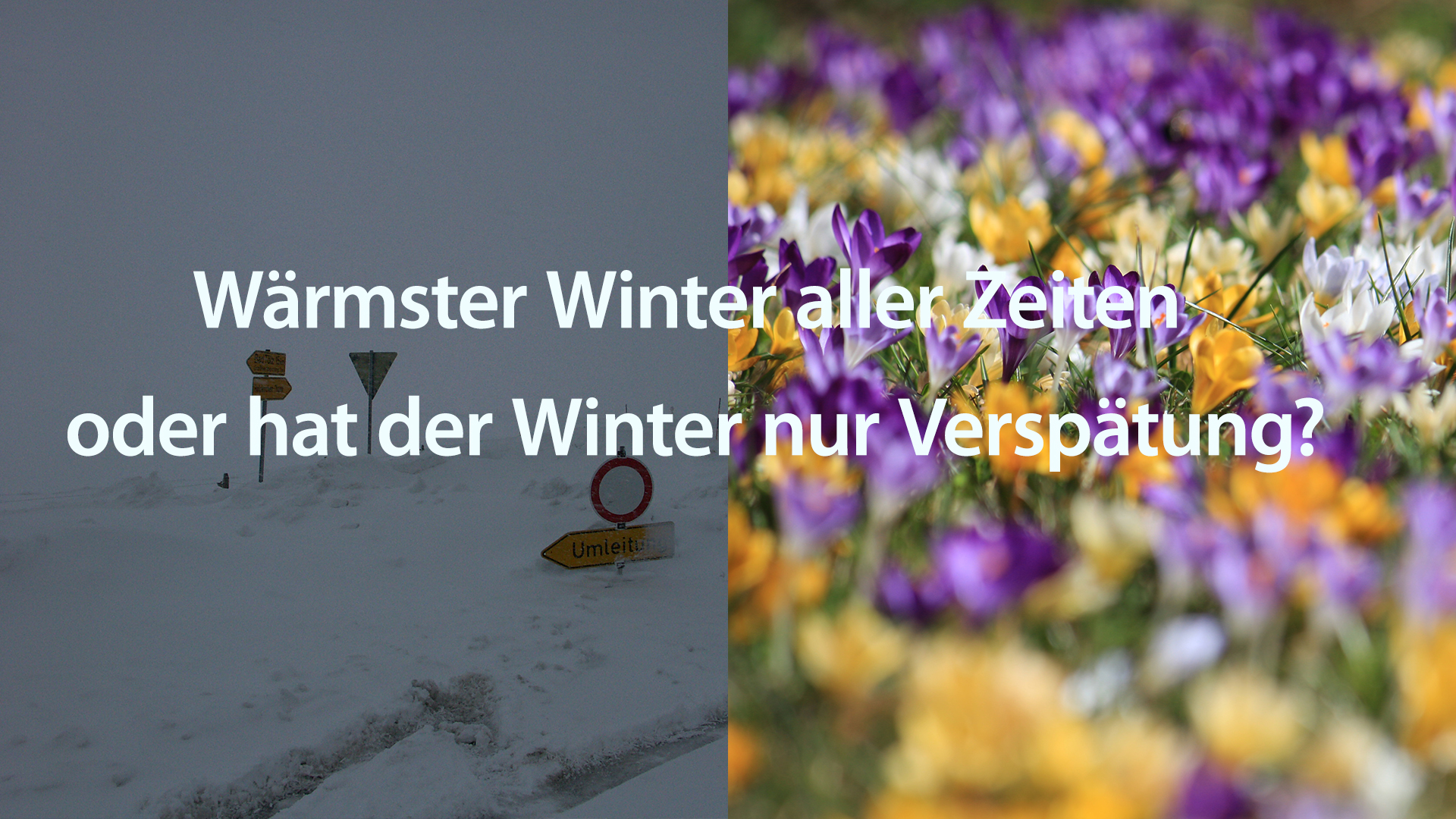 Read more about the article Kann das wirklich der wärmste Winter aller Zeiten werden?
